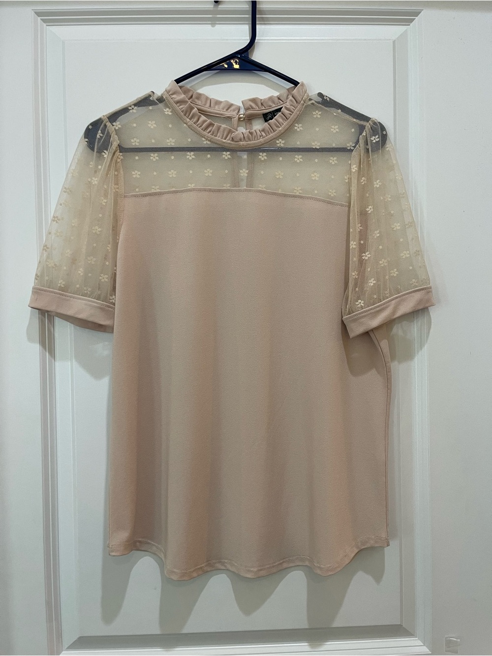Adrianna Papell NWT Blush Beige Floral Mesh Yoke Short Sleeve Blouse Top Small